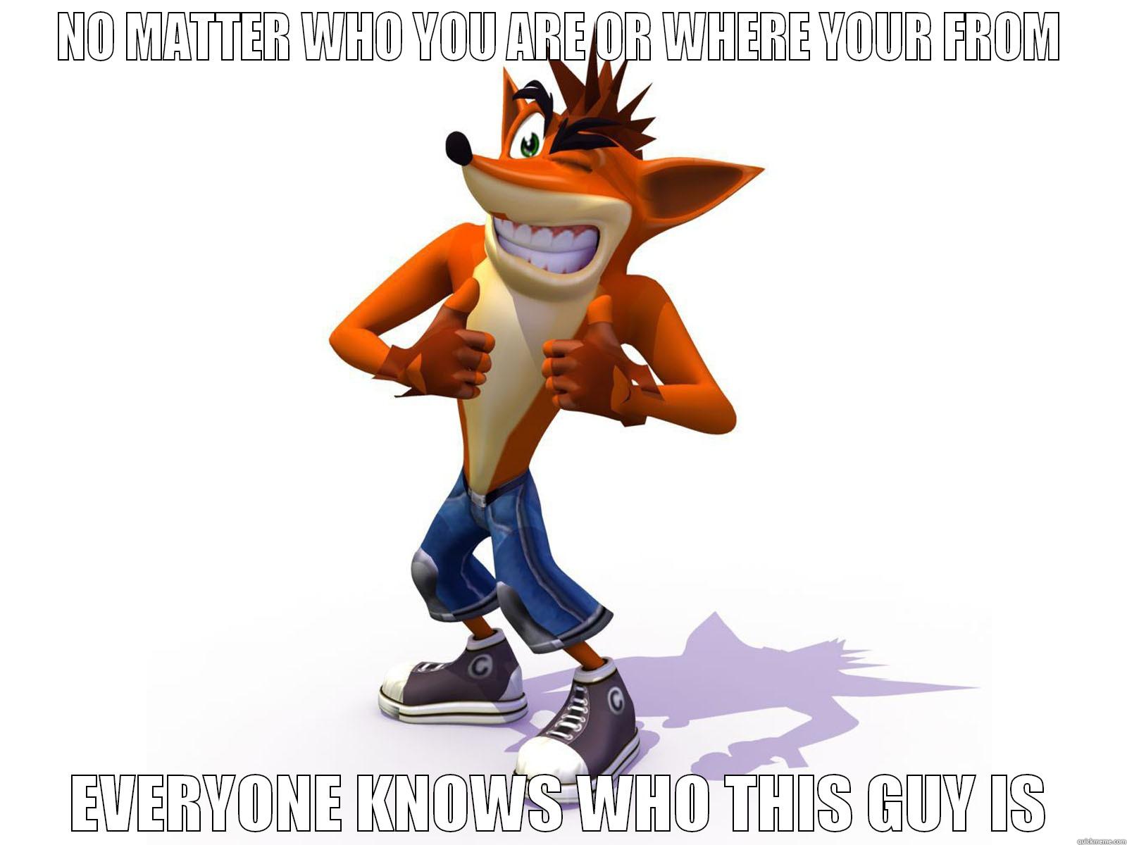 Crash Bandicoot - NO MATTER WHO YOU ARE OR WHERE YOUR FROM EVERYONE KNOWS WHO THIS GUY IS Misc