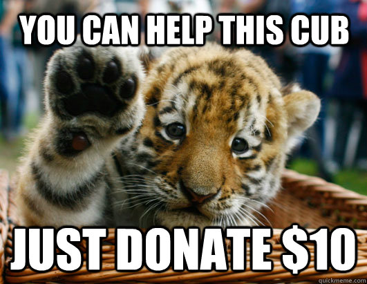 you can help this cub Just donate $10  HELP US SAVE THIS TIGER CUB