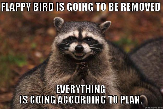 FLAPPY BIRD IS GOING TO BE REMOVED  EVERYTHING IS GOING ACCORDING TO PLAN. Evil Plotting Raccoon