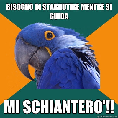 bisogno di starnutire mentre si guida MI SCHIANTERO'!!  Paranoid Parrot