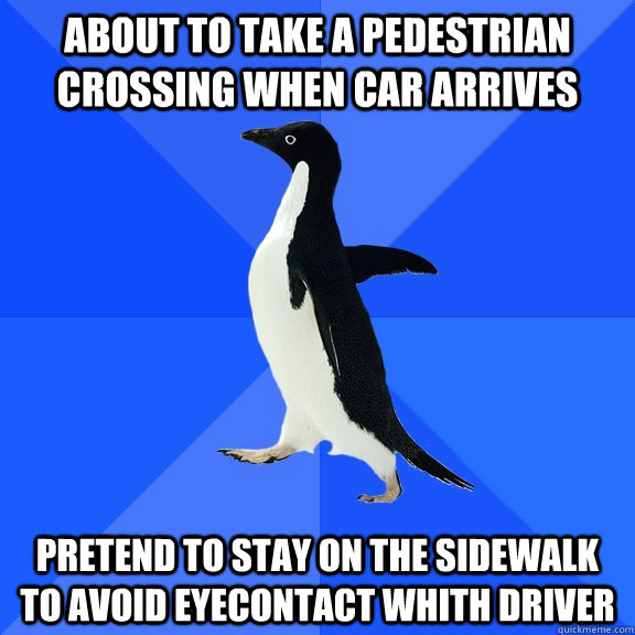 About to take a pedestrian crossing when car arrives Pretend to stay on the sidewalk to avoid eyecontact whith driver  Socially Awkward Penguin