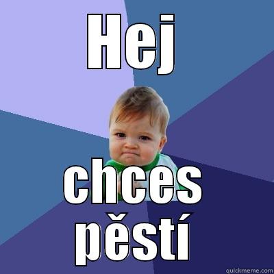 HEJ CHCES PĚSTÍ Success Kid