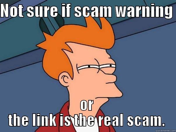 NOT SURE IF SCAM WARNING  OR THE LINK IS THE REAL SCAM. Futurama Fry
