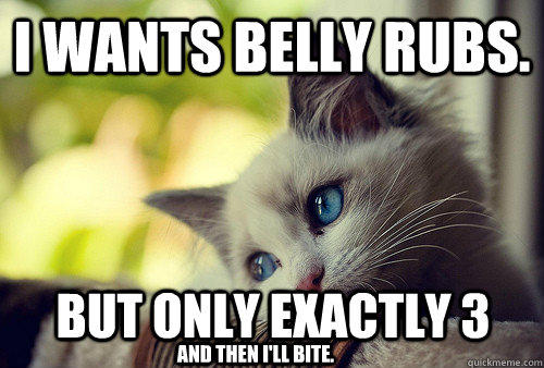 I wants belly rubs. But only exactly 3 and then I'll bite.  First World Problems Cat