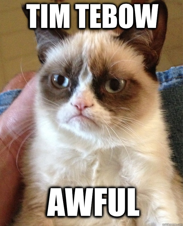 Tim Tebow Awful  Grumpy Cat