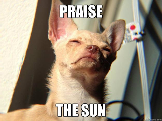 Praise The Sun  