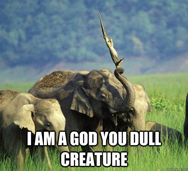  I am a god you dull creature -  I am a god you dull creature  I am a God