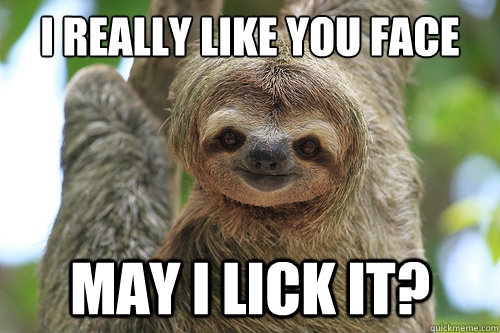 I really like you face may i lick it? - I really like you face may i lick it?  awkward sloth