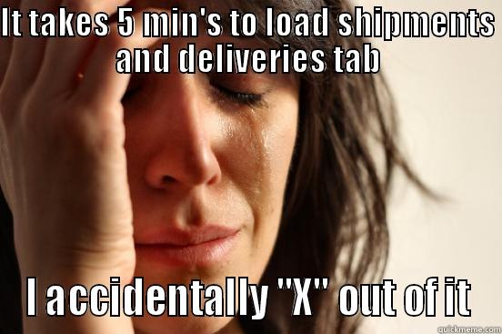 IT TAKES 5 MIN'S TO LOAD SHIPMENTS AND DELIVERIES TAB I ACCIDENTALLY 