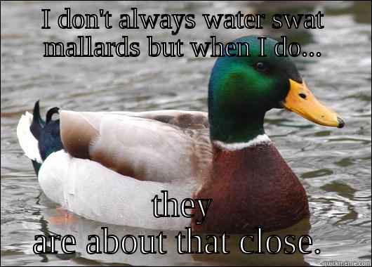 I DON'T ALWAYS WATER SWAT MALLARDS BUT WHEN I DO... THEY ARE ABOUT THAT CLOSE.  Actual Advice Mallard