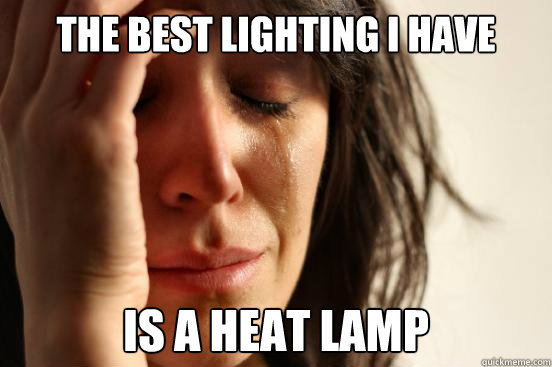 the best lighting i have is a heat lamp  First World Problems