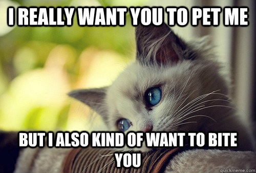 I really want you to pet me But I also kind of want to bite you  First World Problems Cat
