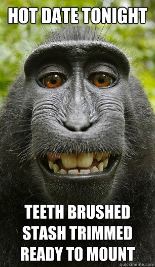 Hot Date Tonight Teeth brushed
Stash trimmed
Ready to Mount  Mindful Macaque