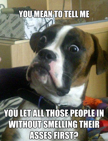 You mean to tell me you let all those people in without smelling their asses first? - You mean to tell me you let all those people in without smelling their asses first?  Baffled boxer