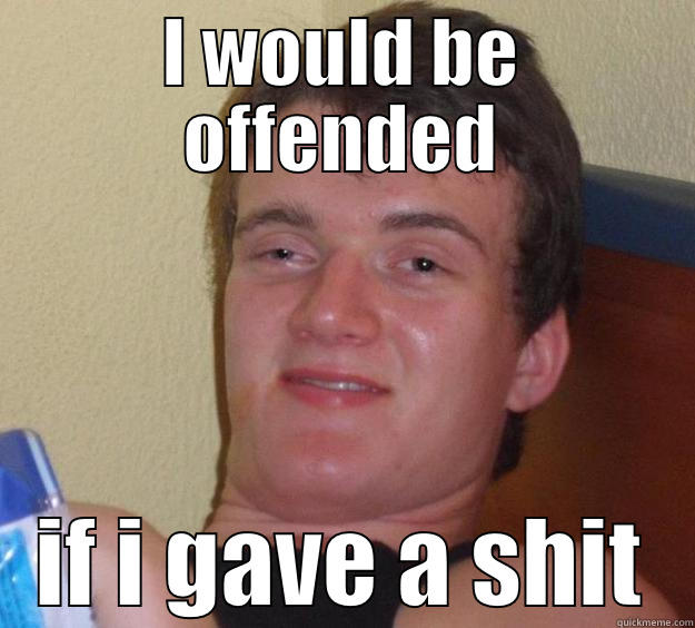 I WOULD BE OFFENDED IF I GAVE A SHIT 10 Guy