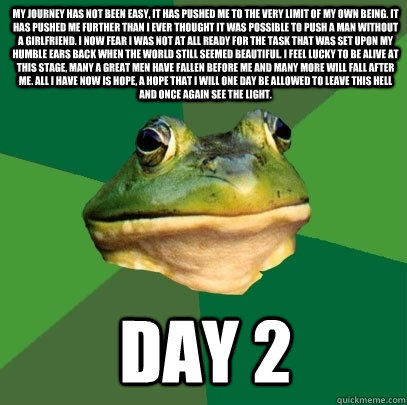 My journey has not been easy, it has pushed me to the very limit of my own being. It has pushed me further than I ever thought it was possible to push a man without a girlfriend. I now fear i was not at all ready for the task that was set upon my humble e  Foul Bachelor Frog