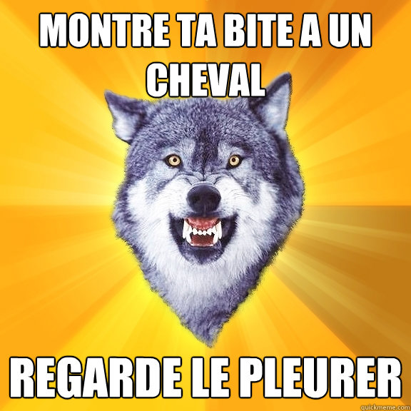 MONTRE TA BITE A UN CHEVAL REGARDE LE PLEURER  Courage Wolf