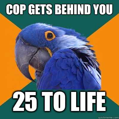 Cop gets behind you 25 to life  Paranoid Parrot