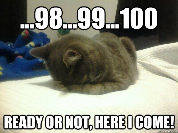 ...98...99...100 Ready or not, here i come! - ...98...99...100 Ready or not, here i come!  Shame Cat