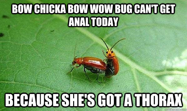 Bow Chicka Bow Wow Bug Can't get anal today Because she's got a thorax - Bow Chicka Bow Wow Bug Can't get anal today Because she's got a thorax  Bow Chicka Bow Wow Bug