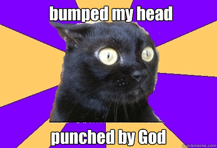 bumped my head punched by God  Anxiety Cat