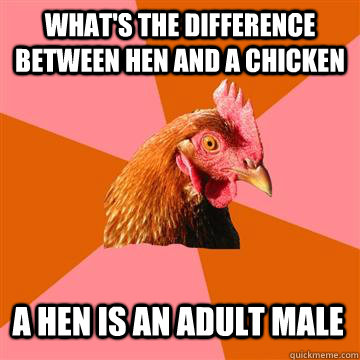 what's the difference between hen and a chicken a hen is an adult male  Anti-Joke Chicken