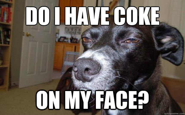 do i have coke on my face? - do i have coke on my face?  Skeptical Mutt