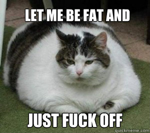 Let me be fat and  just fuck off  Fat Cat