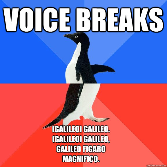 Voice breaks (Galileo) Galileo.
(Galileo) Galileo,
Galileo Figaro
Magnifico.
  Socially Awkward Awesome Penguin