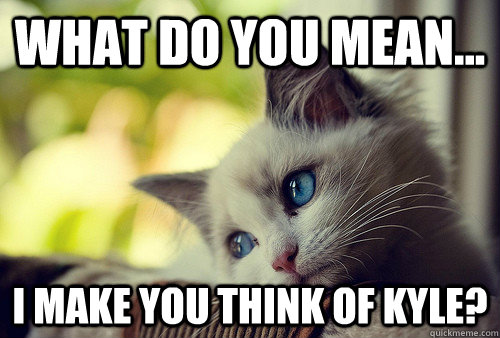 What do you mean... I make you think of Kyle?  First World Problems Cat