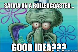 salvia on a rollercoaster... good idea???  