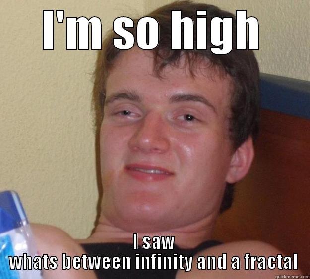 I'M SO HIGH I SAW WHATS BETWEEN INFINITY AND A FRACTAL 10 Guy