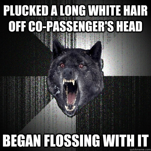 Plucked a long white hair off co-passenger's head Began Flossing with it  Insanity Wolf