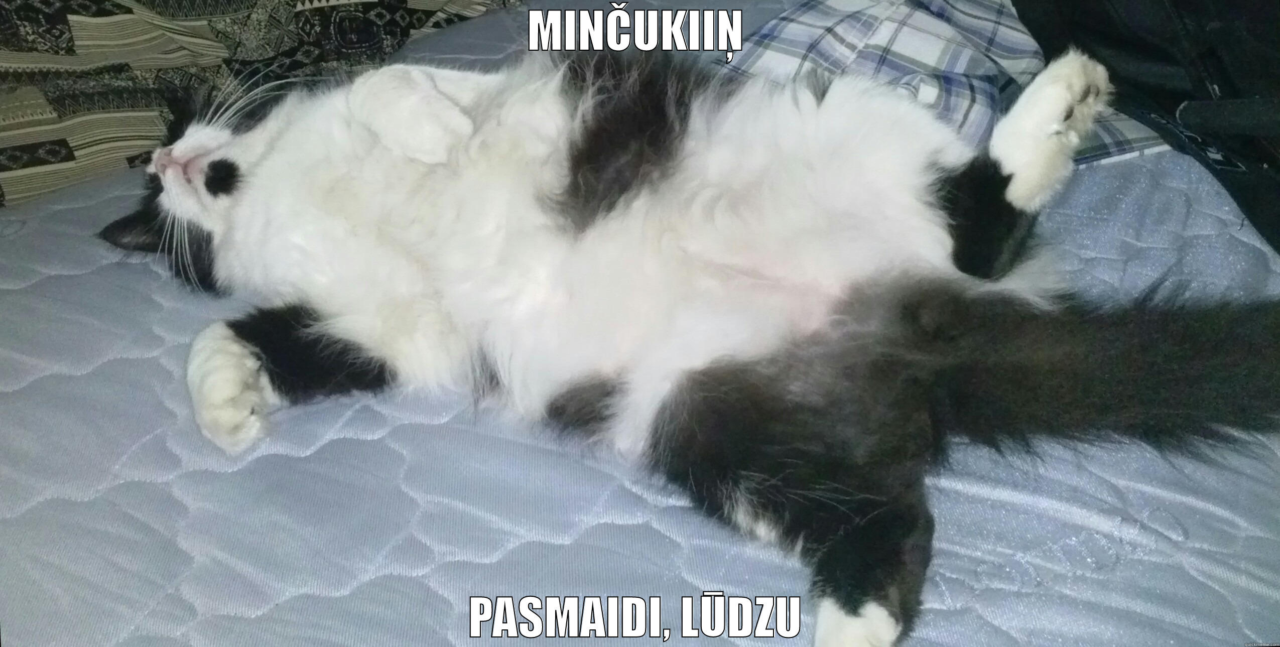 MINČUKIIŅ PASMAIDI, LŪDZU Misc
