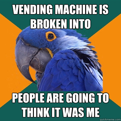 Vending machine is broken into People are going to think it was me  Paranoid Parrot