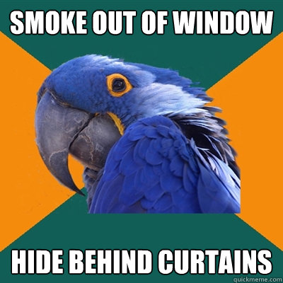 Smoke out of window Hide behind curtains  Paranoid Parrot