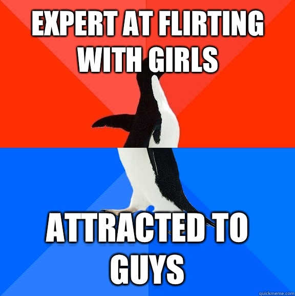 Expert at flirting with girls Attracted to guys  Socially Awesome Awkward Penguin