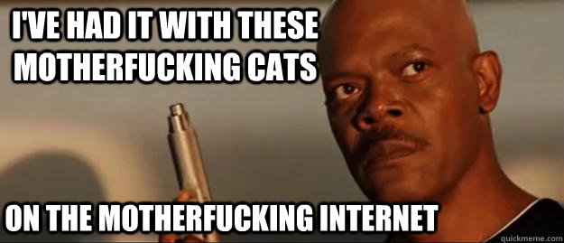 I've had it with these motherfucking cats on the motherfucking internet   Snakes on a Plane Sammy Jackson