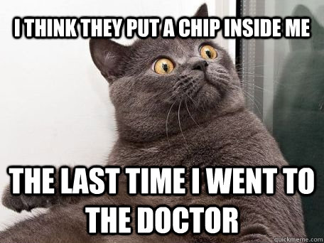 I think they put a chip inside me the last time I went to the doctor  conspiracy cat