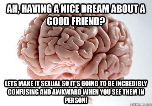 Ah, having a nice dream about a good friend? Lets make it sexual so it's going to be incredibly confusing and awkward when you see them in person!  Scumbag Brain