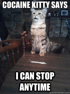 Cocaine Kitty says I can stop anytime - Cocaine Kitty says I can stop anytime  Cocaine Kitty