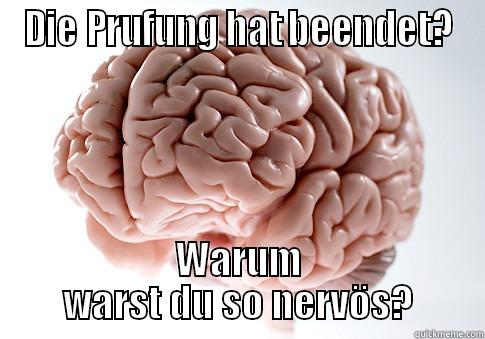 DIE PRUFUNG HAT BEENDET? WARUM WARST DU SO NERVÖS? Scumbag Brain