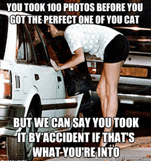 you took 100 photos before you got the perfect one of you cat but we can say you took it by accident if that's what you're into  Karma Whore