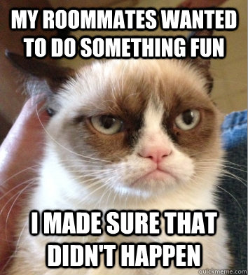 my roommates wanted to do something fun i made sure that didn't happen - my roommates wanted to do something fun i made sure that didn't happen  Grumpy Jean Cat