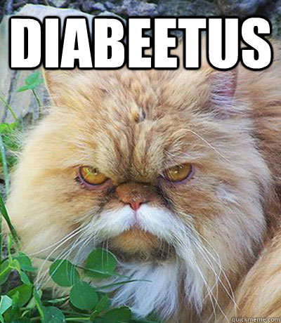 Diabeetus    Diabeetus Cat