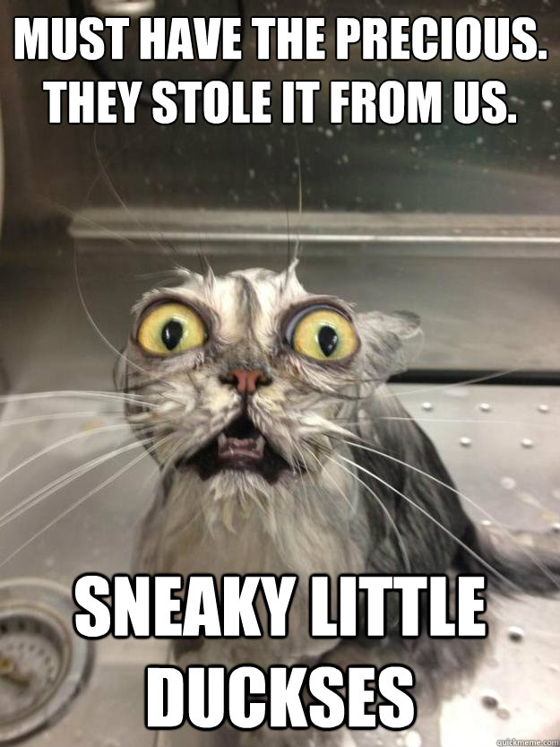 Must have the precious.
They stole it from us. Sneaky little duckses - Must have the precious.
They stole it from us. Sneaky little duckses  Gollum Cat