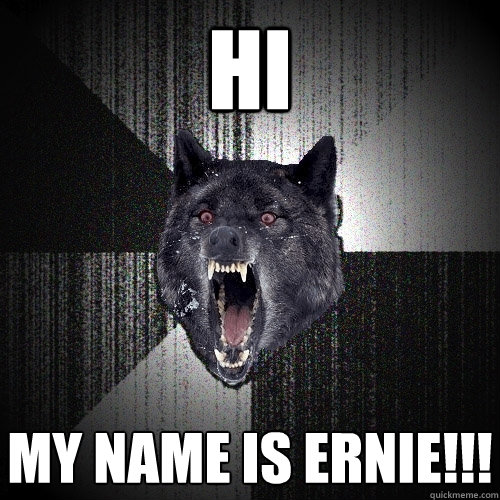 Hi My name is ERNIE!!!  Insanity Wolf