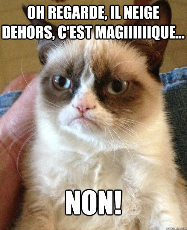 Oh regarde, il neige dehors, c'est magiiiiiique... Non! - Oh regarde, il neige dehors, c'est magiiiiiique... Non!  Grumpy Cat