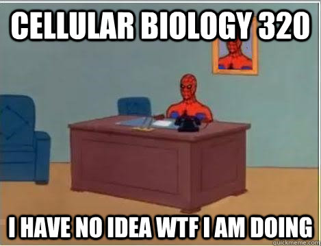 Cellular Biology 320 I have no idea wtf I am doing  Spiderman Desk