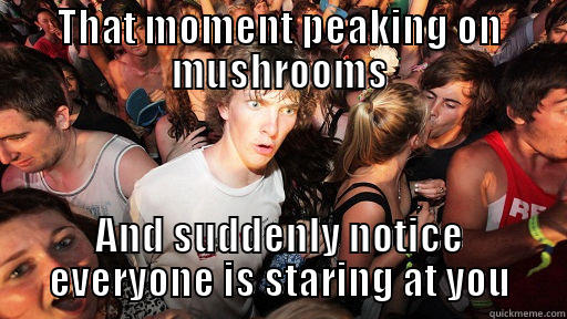 THAT MOMENT PEAKING ON MUSHROOMS AND SUDDENLY NOTICE EVERYONE IS STARING AT YOU Sudden Clarity Clarence